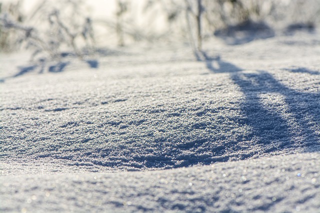 Van Mountainbike Tot Snowbike: Een Seizoensgebonden Transformatie